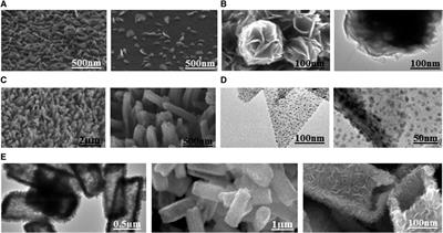 Morphological Characteristics of Molybdenum Disulfide and Current Application on Detecting SF6 Decomposing Products